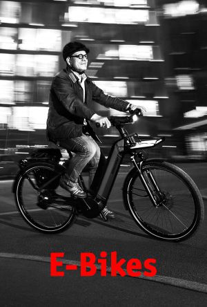 E-Bike Berlin Pedelec